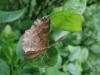 183883 – Photo : Arnaud Jean-Pierre – France (11)
